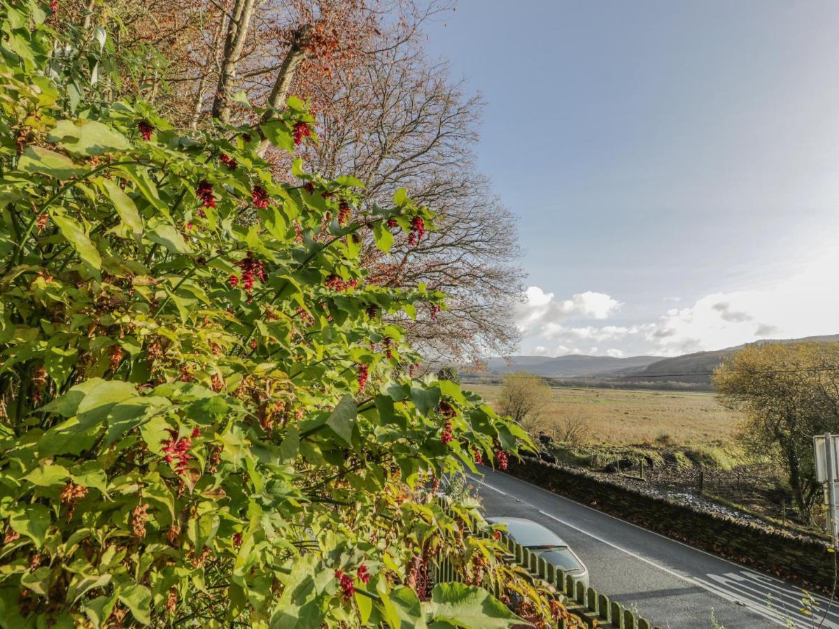 Bryn Melyn Artist'S Cottage Llanelltyd ภายนอก รูปภาพ